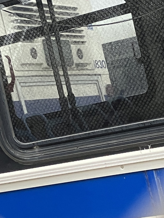 IMG_3307.jpeg