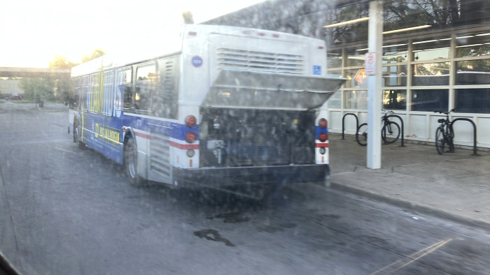 IMG_7541.jpeg