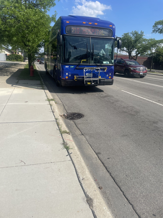 IMG_9185.jpeg
